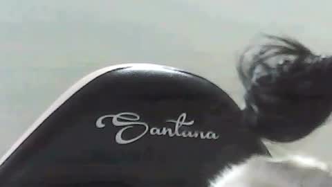 Snapshot of farianna_hot chatting on May 2026 10:26:02 PM farianna_hot online show from May 2026 10:26:02 PM