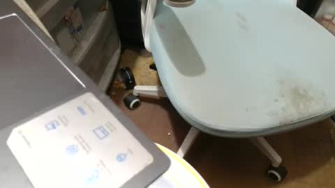 Snapshot of fatfreddythecat chatting on November 2025 08:53:01 PM Fred. online show from November 2025 08:53:01 PM