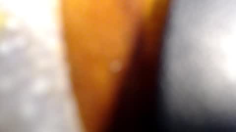 fckyariangel online show from January 2026 02:46:02 AM