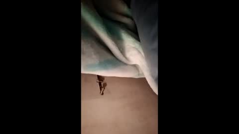 Snapshot of fcp27392194 chatting on February 2026 11:08:02 PM fcp27392194 online show from February 2026 11:08:02 PM