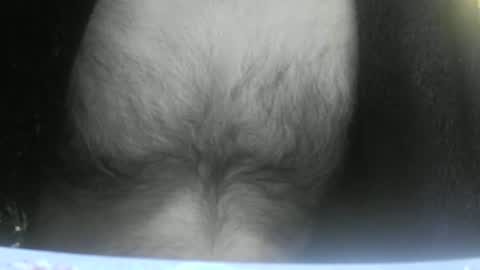 Snapshot of feardubh chatting on February 2025 09:04:01 AM feardubh online show from February 2025 09:04:01 AM