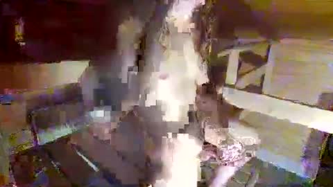 Snapshot of feet__sucker chatting on September 2025 08:22:02 PM feet__sucker online show from September 2025 08:22:02 PM