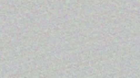 FeleenaFux online show from May 2026 07:20:01 PM
