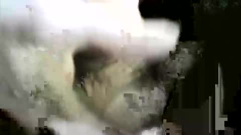 felicaste online show from December 2025 08:59:02 PM