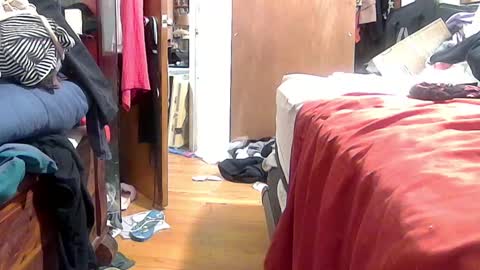 felicitybliss29 online show from October 2025 04:57:02 AM