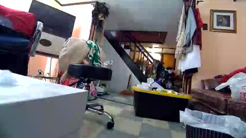 felicitybliss29 online show from May 2026 02:49:01 AM