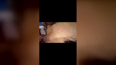 Snapshot of felinegoodcouple chatting on February 2026 12:39:02 PM felinegoodcouple online show from February 2026 12:39:02 PM