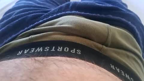 Snapshot of felixske chatting on January 2025 09:19:01 AM felixske online show from January 2025 09:19:01 AM