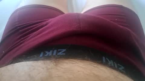 Snapshot of felixske chatting on February 2025 12:48:01 PM felixske online show from February 2025 12:48:01 PM