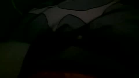 Snapshot of felixske chatting on November 2025 10:06:02 AM felixske online show from November 2025 10:06:02 AM