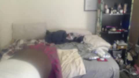 Zoey Sissybottom online show from May 2026 06:13:02 PM