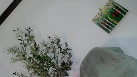 femboy_veronica online show from May 2026 06:19:01 AM