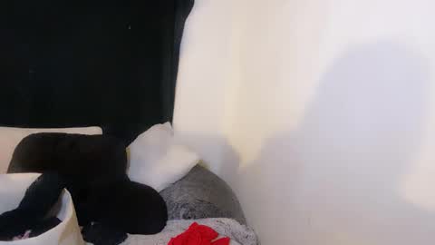 Snapshot of femgirl99 chatting on November 2025 09:00:02 AM this is justice tricia a bigelow. she was fucking my husband tom girardi online show from November 2025 09:00:02 AM