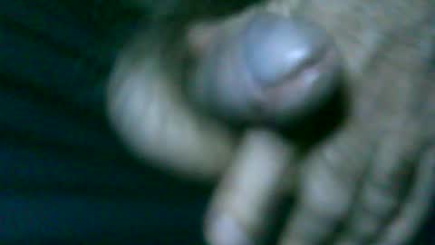 fer_2197 online show from June 2026 02:01:01 AM