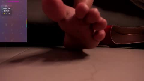 Fernanda online show from February 2026 08:54:02 AM