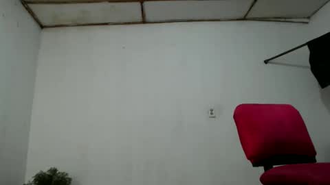 Snapshot of fernandez_latinblack chatting on December 2024 05:49:02 AM fernandez_latinblack online show from December 2024 05:49:02 AM