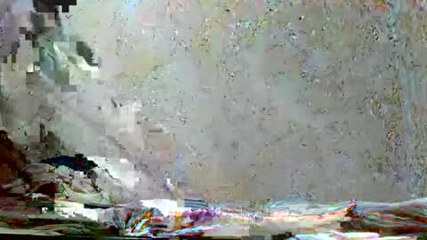 Snapshot of fernandez_latinblack chatting on November 2025 10:31:01 AM fernandez_latinblack online show from November 2025 10:31:01 AM