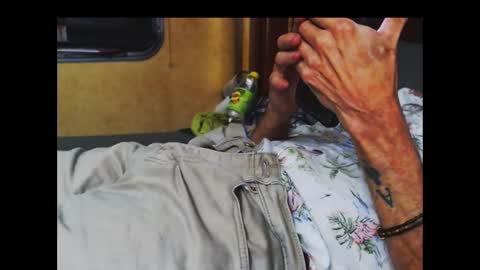 Snapshot of ferra_testarossa chatting on October 2025 05:05:02 AM ferra_testarossa online show from October 2025 05:05:02 AM