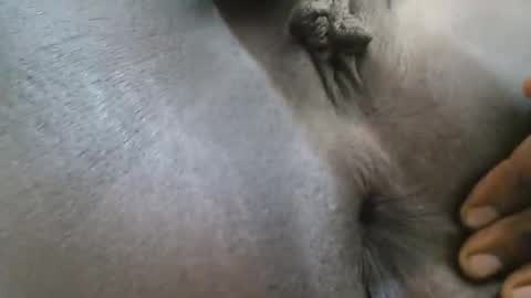 Ferie online show from September 2025 04:06:02 AM