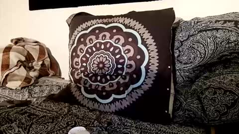 fezzyqt online show from October 2025 09:26:02 PM