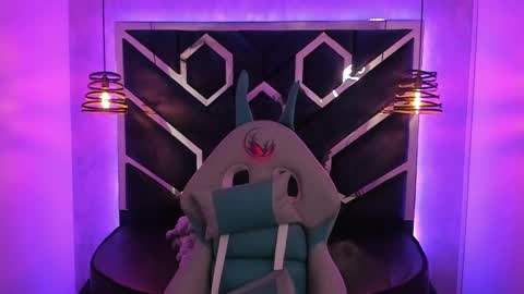   online show from January 2025 12:05:01 PM