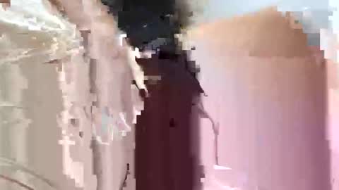 Snapshot of fifipan chatting on October 2025 09:28:01 AM fifipan online show from October 2025 09:28:01 AM