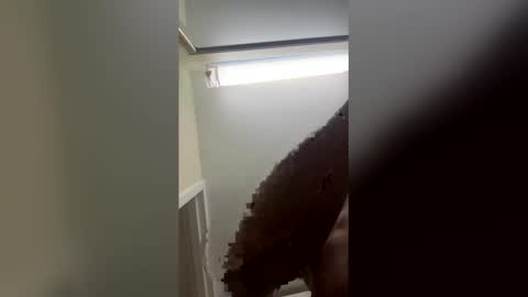 finessegod26 online show from February 2026 02:21:02 AM