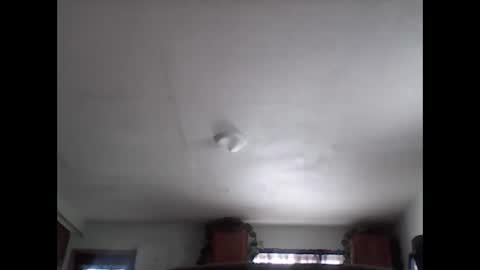 Snapshot of fireprince1977 chatting on November 2025 08:01:01 PM Brad online show from November 2025 08:01:01 PM