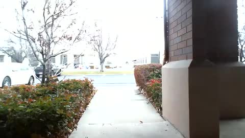 pain slut daren online show from December 2024 05:33:01 PM