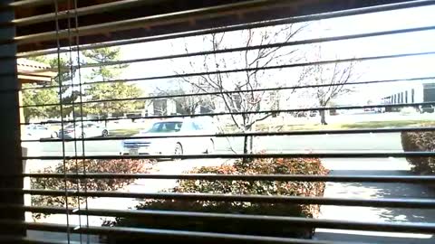 pain slut daren online show from January 2025 07:08:01 PM