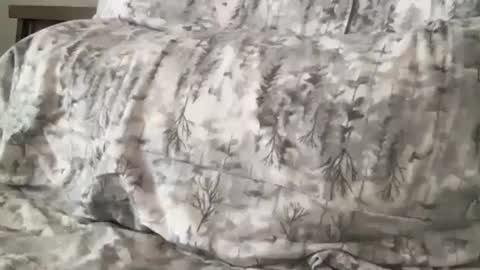 FitCollegeStudxx online show from February 2025 07:21:01 PM