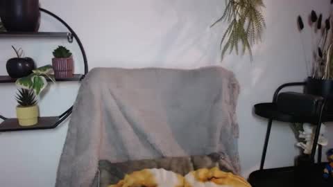 Snapshot of fitness1989 chatting on July 2026 08:55:02 PM fitness1989 online show from July 2026 08:55:02 PM