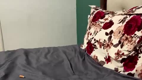 Snapshot of fittbigdick chatting on March 2026 03:22:01 PM FittBoy online show from March 2026 03:22:01 PM