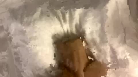 Snapshot of fixanything2000 chatting on January 2025 01:16:02 PM fixanything2000 online show from January 2025 01:16:02 PM