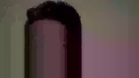 Snapshot of fkmylife6669 chatting on June 2026 08:24:02 AM Nate online show from June 2026 08:24:02 AM