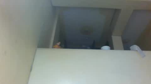 Snapshot of flirty_amber chatting on November 2025 12:19:02 PM Amber online show from November 2025 12:19:02 PM