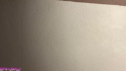 Snapshot of flirtygirlyy chatting on March 2026 02:04:02 AM Ive Retired From Camming online show from March 2026 02:04:02 AM