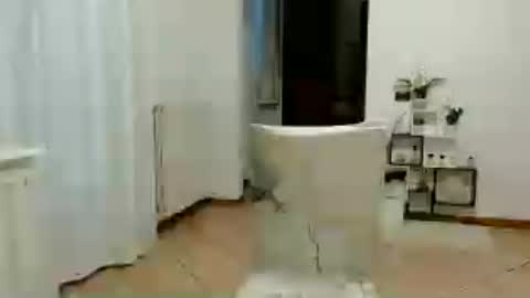 florya4you online show from June 2026 04:39:02 PM