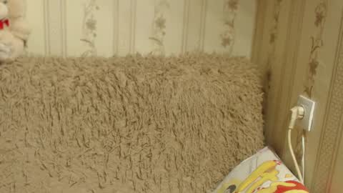 say meow and send tip  online show from January 2025 09:39:01 AM