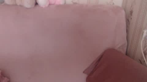 say meow and send tip  online show from May 2026 08:08:01 AM