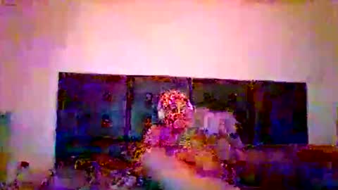 foudroyeurbdx online show from February 2026 05:00:02 AM