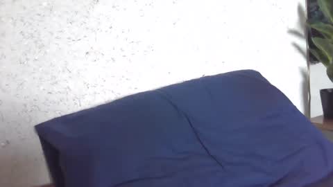 fox_red_lady7 online show from March 2025 08:11:01 AM