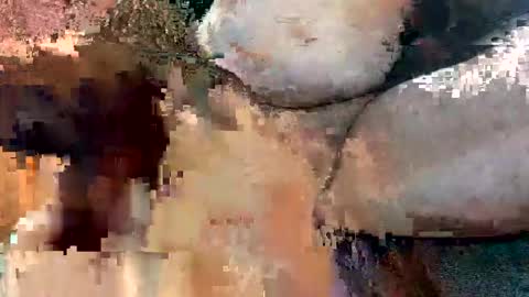 Snapshot of foxhole23 chatting on September 2025 10:59:01 AM foxhole23 online show from September 2025 10:59:01 AM