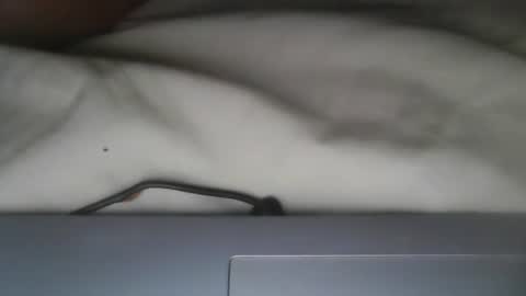 foxylady000 online show from May 2026 06:54:02 AM