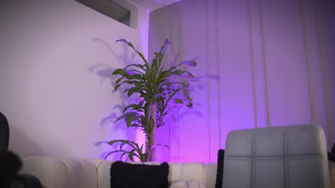 Snapshot of frankfarrellx chatting on March 2026 08:36:01 PM Frank Farrell. Hey remember to give me a thumbs up Ty online show from March 2026 08:36:01 PM