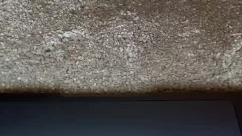 athena online show from March 2026 07:47:01 PM