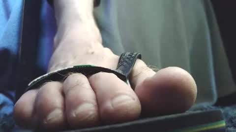 Greedy Fred online show from February 2026 02:54:01 PM