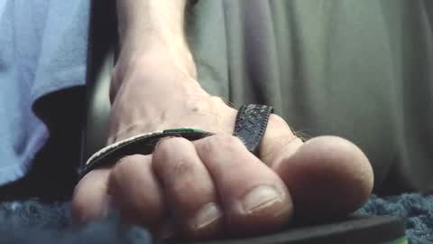 Greedy Fred online show from February 2026 02:47:02 PM