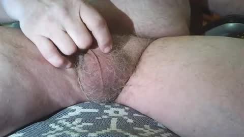 free_amos online show from May 2026 03:39:02 PM