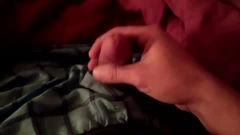 Snapshot of freebird12323 chatting on January 2025 11:17:01 AM freebird12323 online show from January 2025 11:17:01 AM